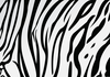 Tiger Stripe Pattern Clipart Image