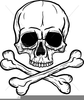 Large Skull Crossbones Clipart Image