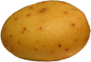 Potato Image