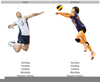 Volleyball Setting Form Image
