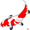 Koi Clipart Free Download Image