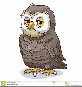 Clipart Wise Old Owl | Free Images at Clker.com - vector clip art online,  royalty free & public domain