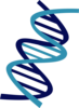 Dna Clip Art