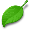 Leaf Vector Test Image