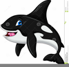 Animated Killer Whale Clipart Image