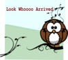 Owl Branch Clip Art