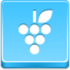 Free Blue Button Icons Grapes Image