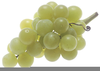 Green Grapes Clipart Image
