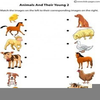 Clipart Images Of Animals And Their Young Ones Image