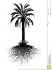 Palm Trees Clipart Black And White Image