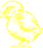Yellow Chick Clip Art