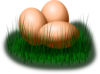 Eggs And Grass Clip Art