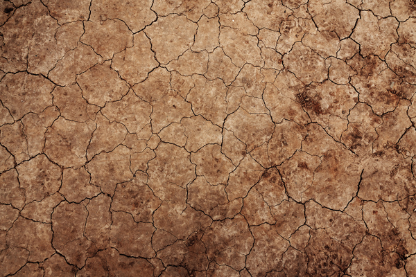 Cracked Earth Texture | Free Images at Clker.com - vector clip art online,  royalty free & public domain