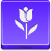 Free Violet Button Tulip Image