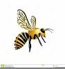 Cartoon Bug Pictures Clipart Image