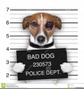 Clipart Prison Dog Image