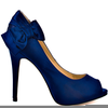 Dark Blue Heels Image