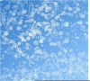 Free Animated Snowing Clipart Image
