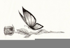 Butterfly Flying Drawings Image