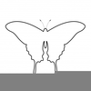 Free Butterfly Clipart Pictures Image