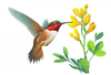 Hummingbirds Clipart Image