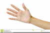 Right Hand Palm Up Clipart Image