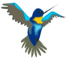 Hummingbird  Clip Art