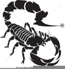 Free Clipart Scorpion Image