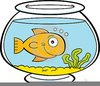 Fish In A Bowl Clipart Image