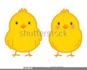Clipart Duckling Egg From Hatches Image