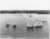 [sailboats Sailing]: Corinth Y[acht] C[lub] Race, Boston, 6 Aug. 1898 Image