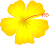 Yellow Hibiscus Hawaii State Flower Image