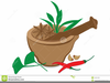 Clipart Of Herbs And Spices Image