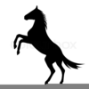 Black Beauty Horse Clipart Image