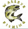 Royalty Free Clipart Walleye Image