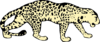 Leopard Right Facing Clip Art