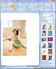 Microsoft Clipart And Photographs Image