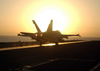 An F/a-18 Hornet Returns Aboard The Uss George Washington (cvn 73). Image