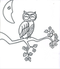 Owl Sleeping Image