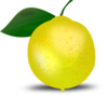 Lemon Photorealistic Clip Art
