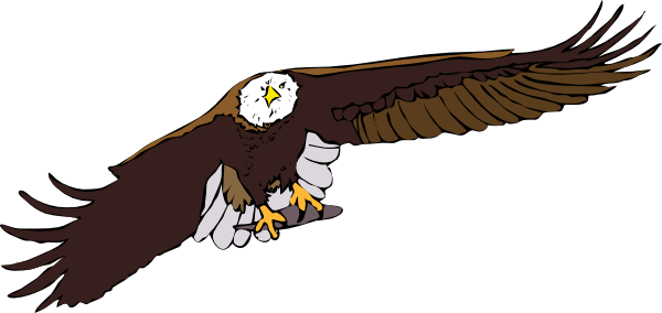 flying eagle free clipart - photo #21