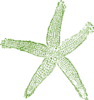 Dark Green Starfish Clip Art