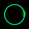 Dark Green Circle Clip Art