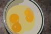 Egg Yolk Clip Art