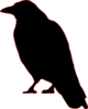 Crow Img Clip Art