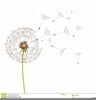 Free Blowing Dandelion Clipart Image