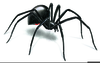Black Widow Spider Clipart Image