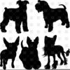 Chinese Crested Clipart Image
