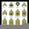 Army Csm Rank Clipart Image