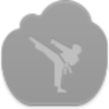 Karate Icon Image